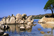 开云体育官方网站-西雅图海湾者多线作战阵容调整，保证体能充沛