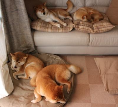 末节狂飙！火箭险胜广厦，杜兰特死神时刻定乾坤