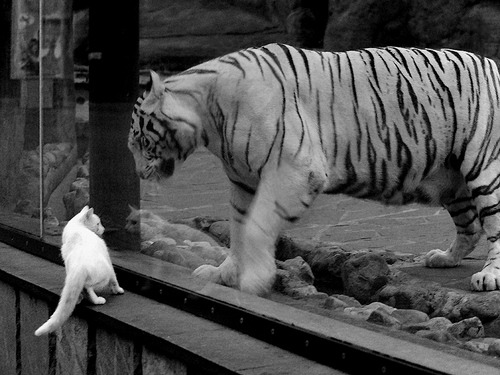 南美风暴席卷亚平宁,姆巴佩英超争冠夜接管比赛