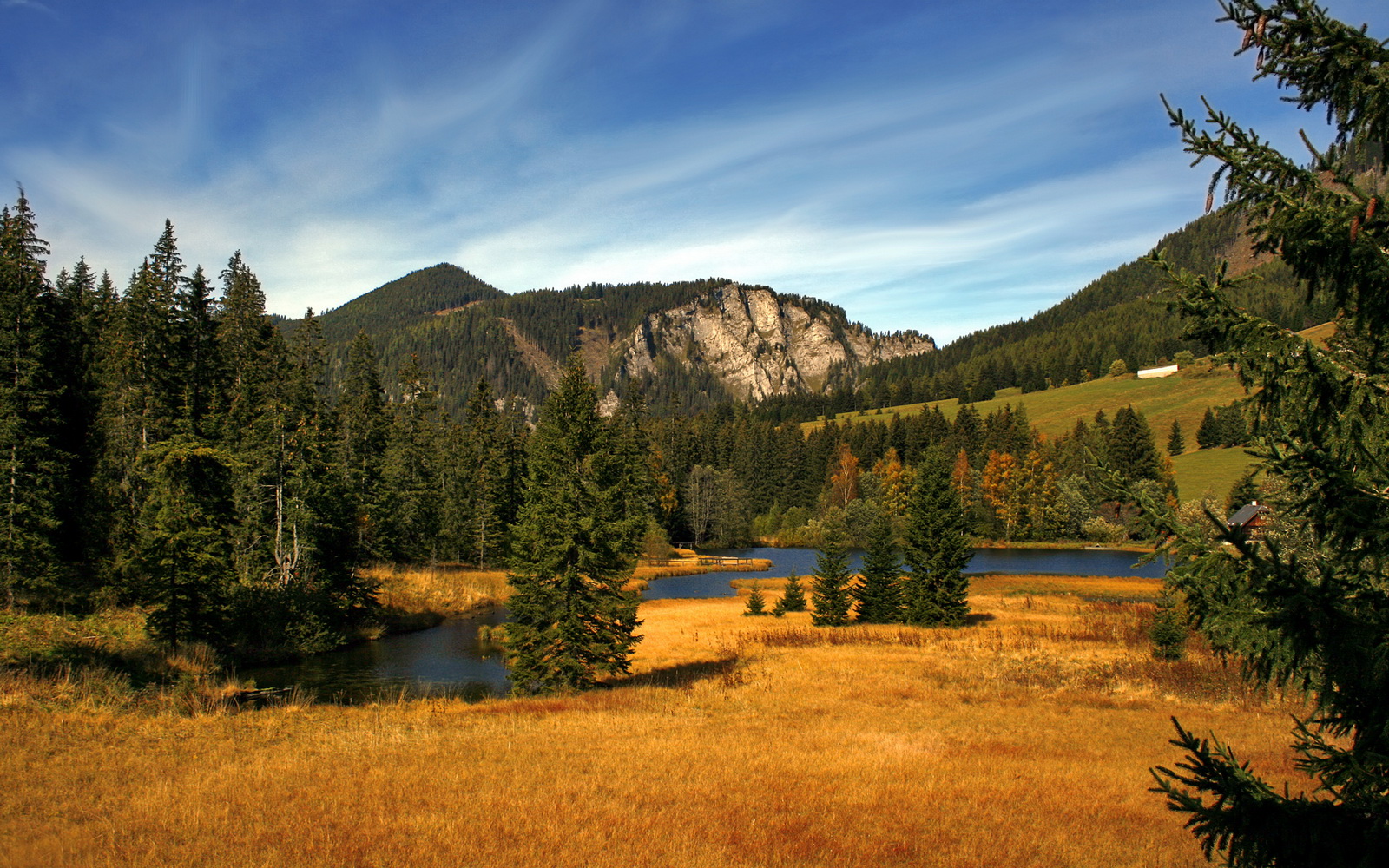 坎特爆发!新西兰正面击溃贝蒂斯创历史